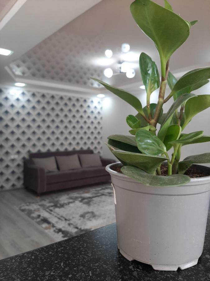 Отличная Двухкомнатная Квартира-Студия 70Кв Uralsk Eksteriør billede